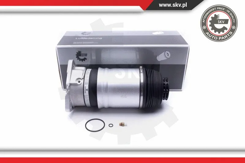 Air Suspension Strut (58SKV068)
