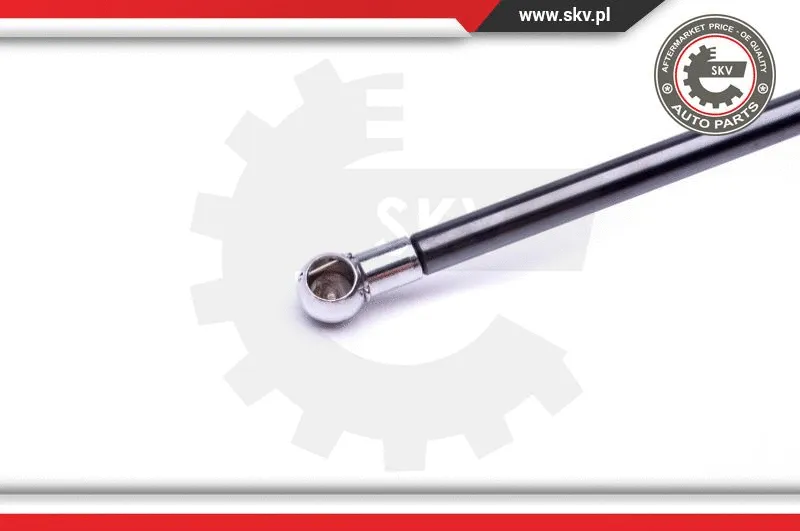 Gas Spring, boot/cargo area