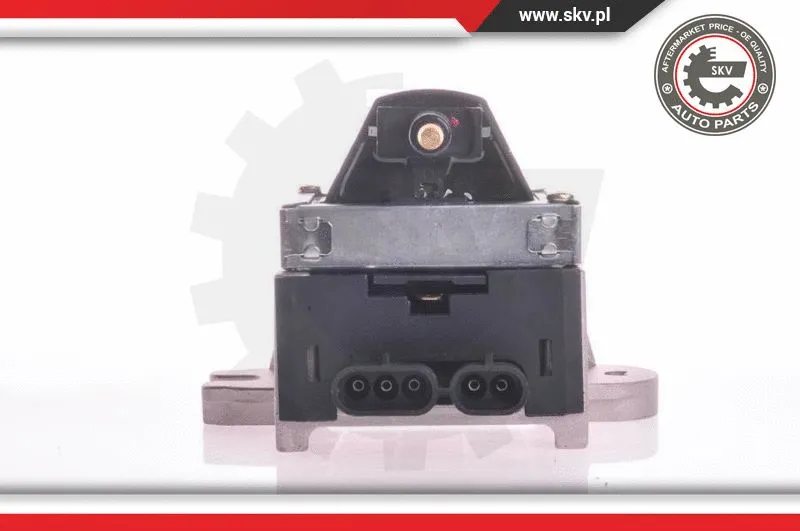 Ignition Coil (03SKV189)