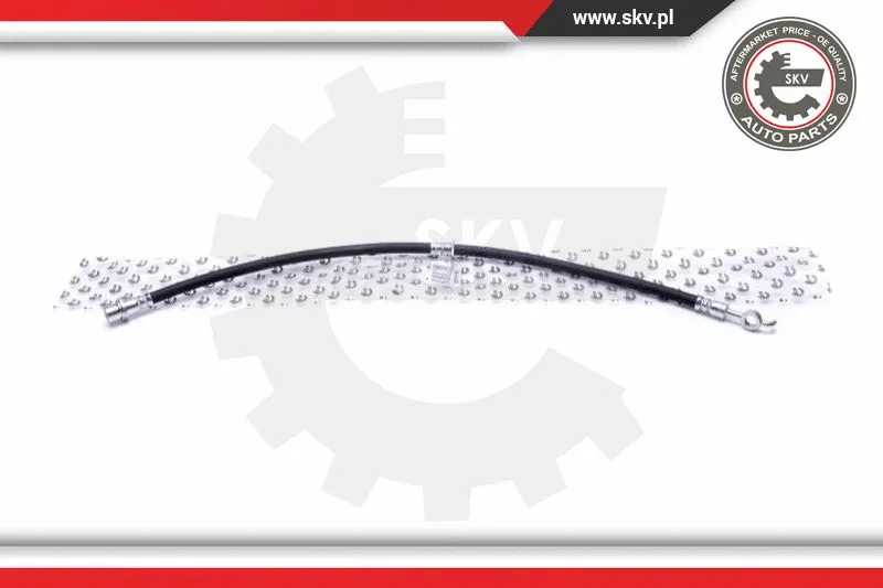 Brake Hose (35SKV199)