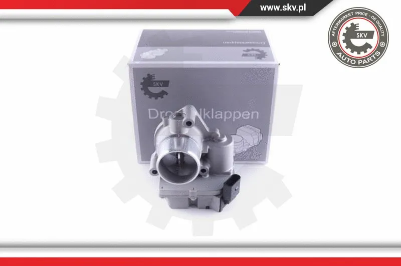 Throttle Body (12SKV090)