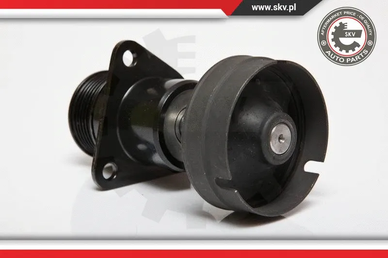Alternator Freewheel Clutch