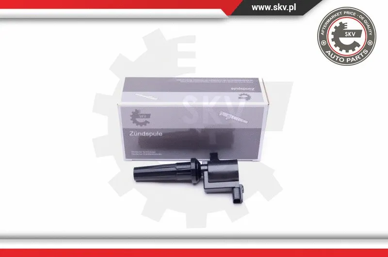Ignition Coil (03SKV301)