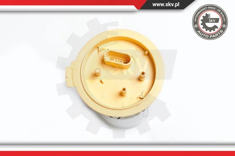 Fuel Feed Unit (02SKV727)