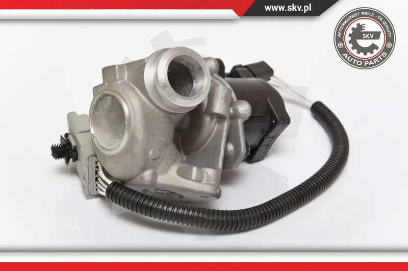 EGR Valve