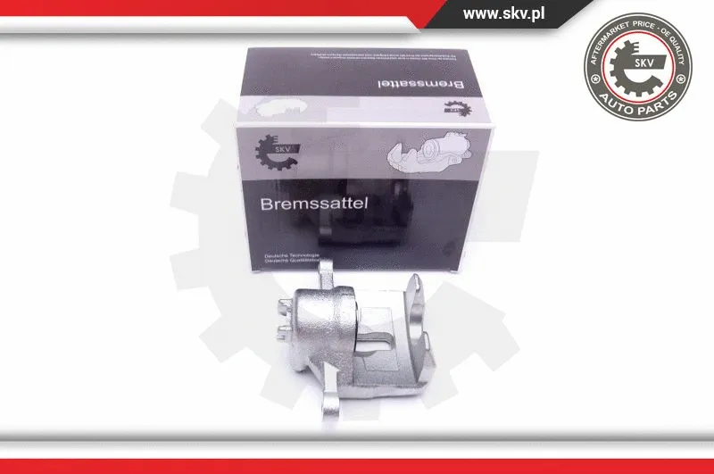 Brake Caliper (42SKV474)