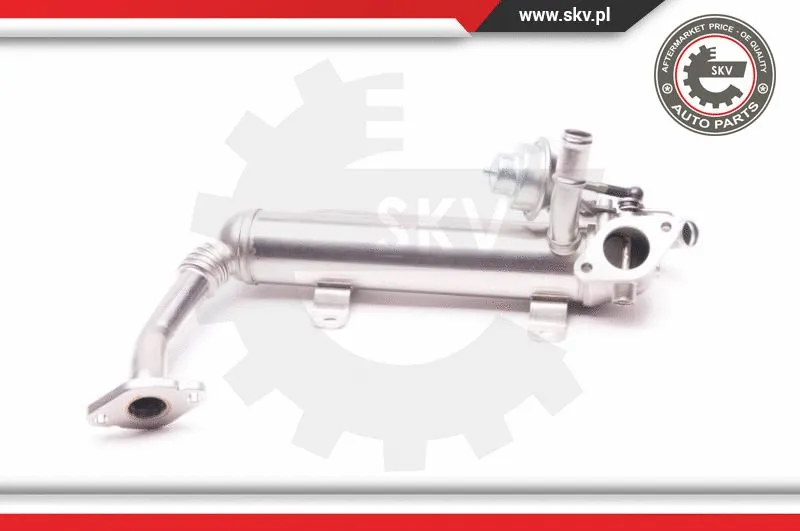 EGR Valve (14SKV118)