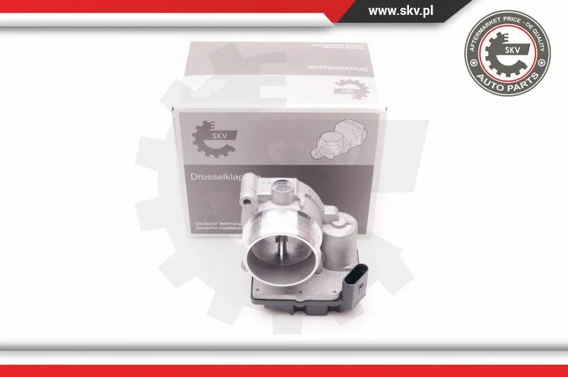 Throttle Body (12SKV059)