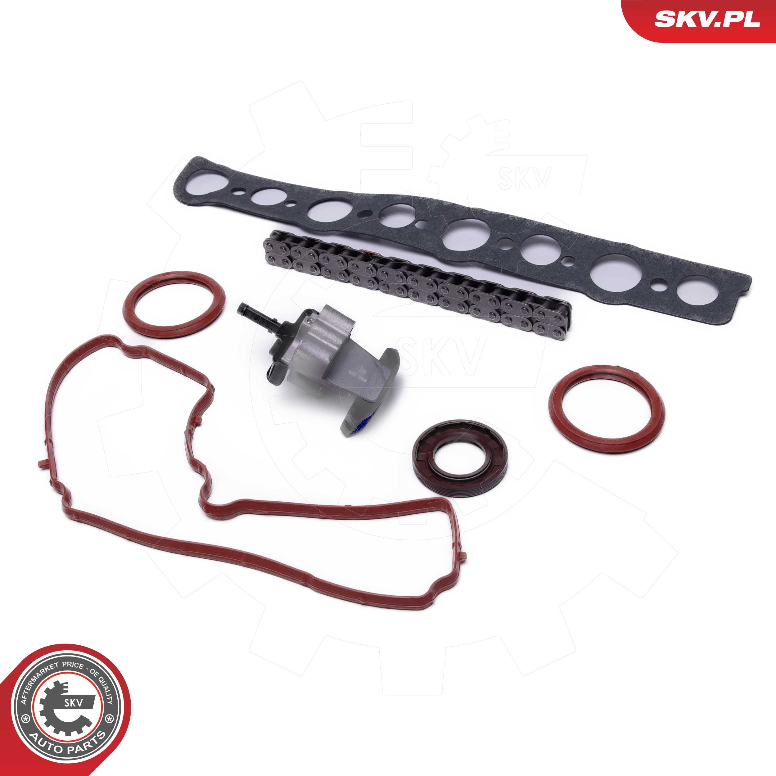 Timing Chain Kit