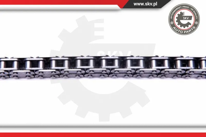 Timing Chain Kit
