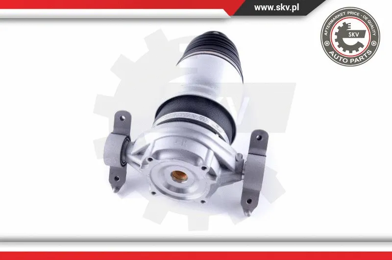 Air Spring, suspension