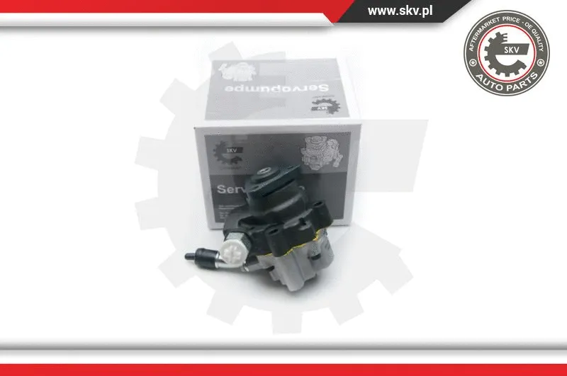 Hydraulic Pump, steering (10SKV190)