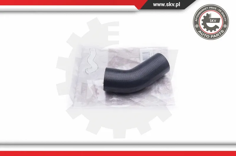 Charge Air Hose (24SKV910)