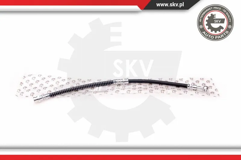 Brake Hose (35SKV004)