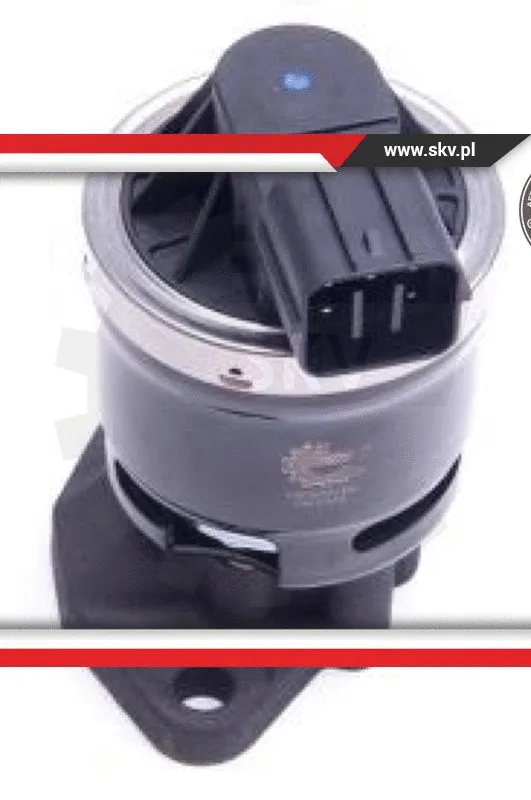 EGR Valve