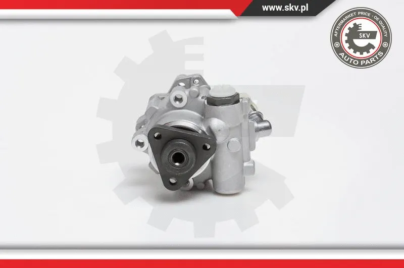 Hydraulic Pump, steering (10SKV014)