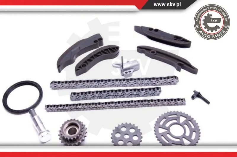 Timing Chain Kit