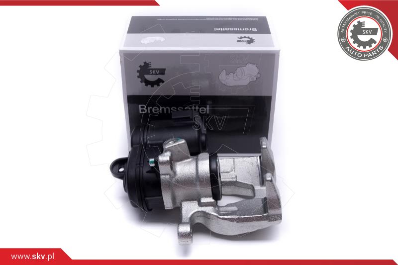 Brake Caliper (56SKV224)