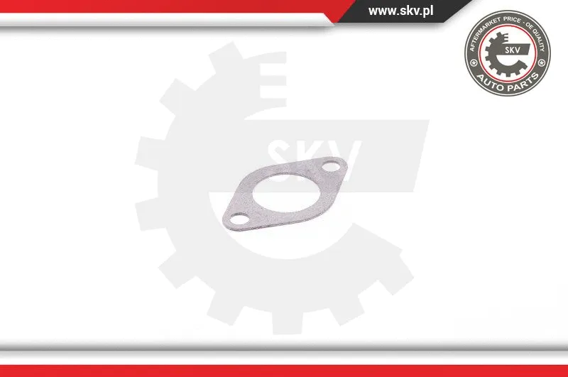 Gasket, EGR valve (14SKV110)