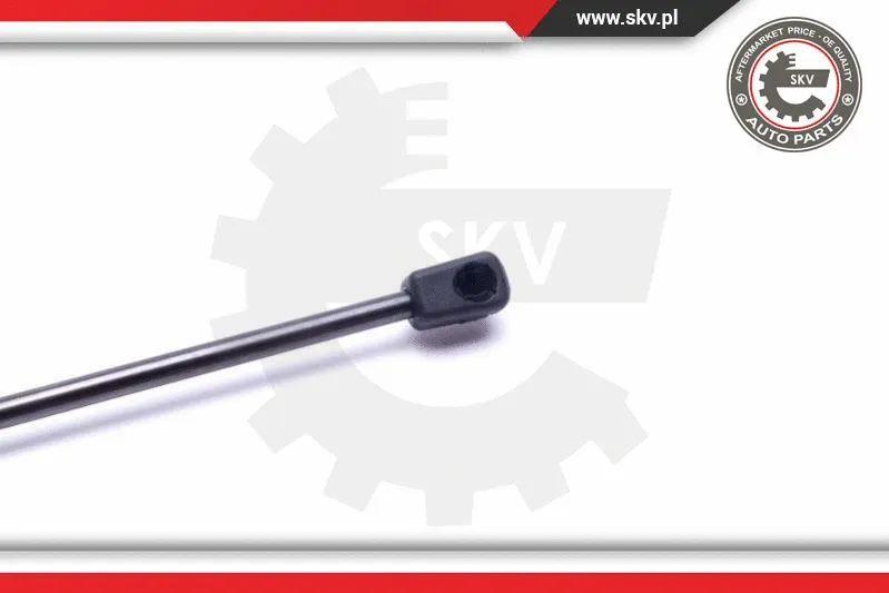 Gas Spring, boot/cargo area