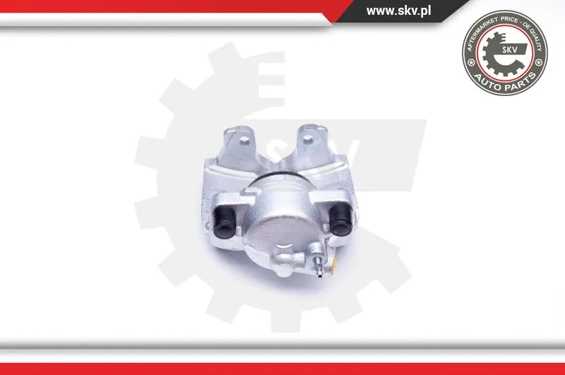Brake Caliper (42SKV311)