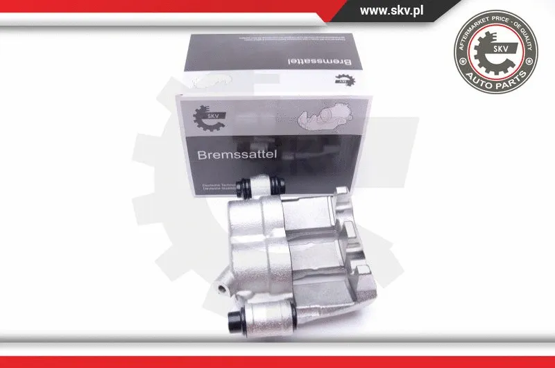 Brake Caliper (45SKV761)