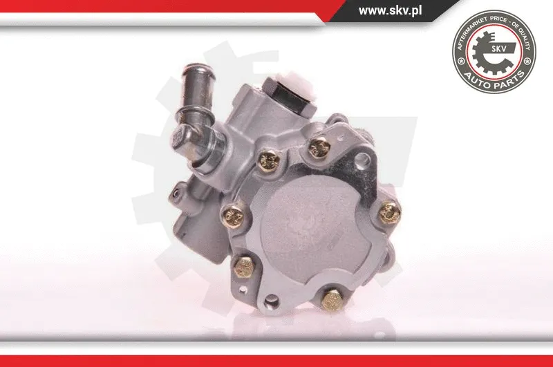 Hydraulic Pump, steering (10SKV105)