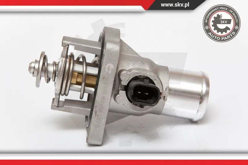 Thermostat, coolant
