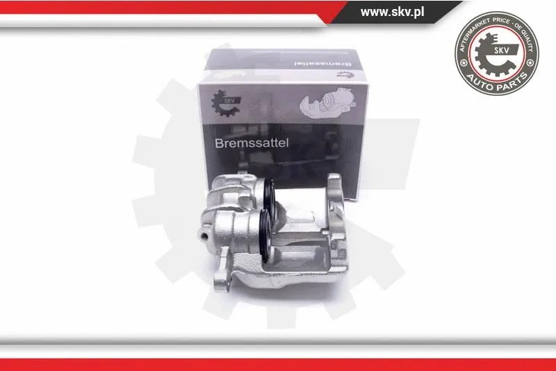 Brake Caliper (55SKV681)