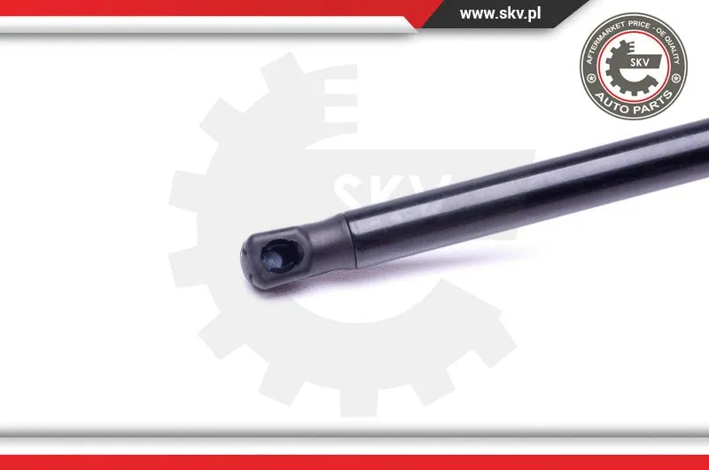 Gas Spring, boot/cargo area