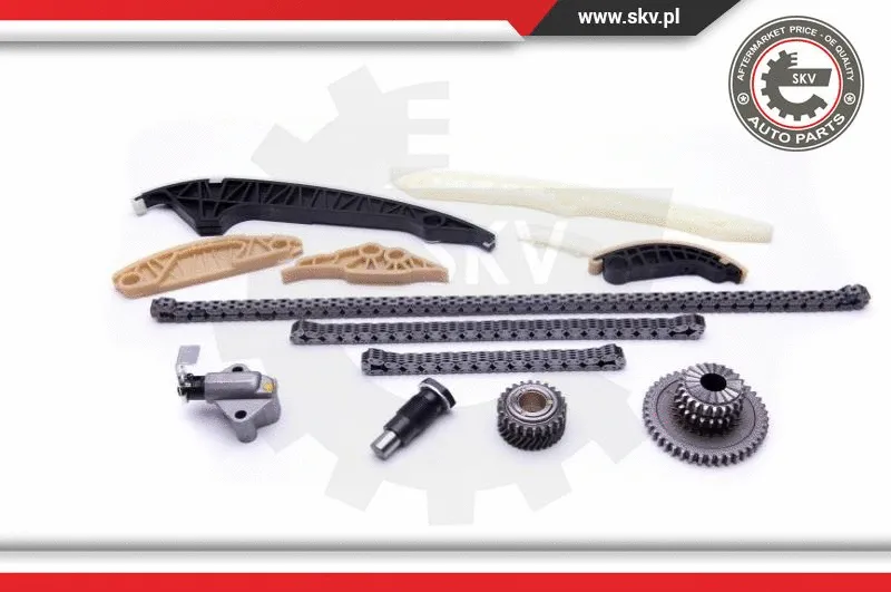 Timing Chain Kit