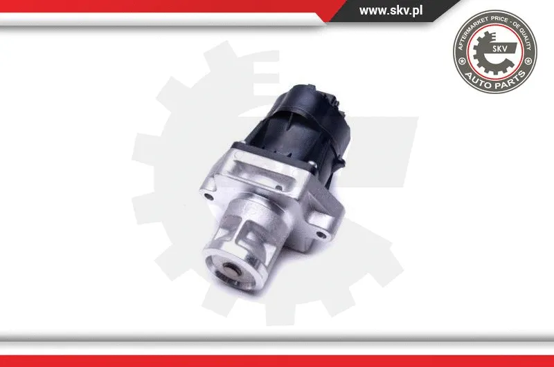 EGR Valve