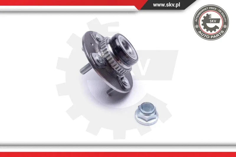 Wheel Bearing Kit
