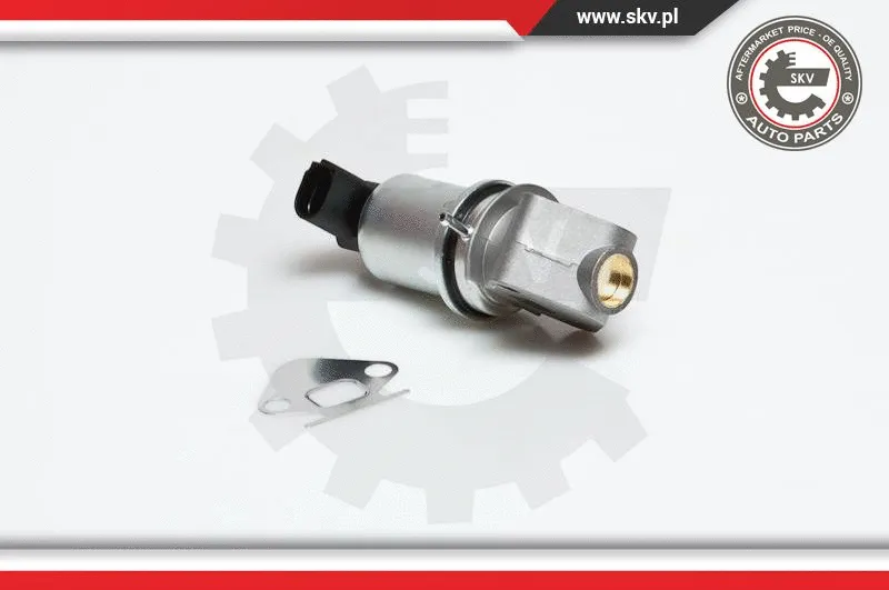 EGR Valve