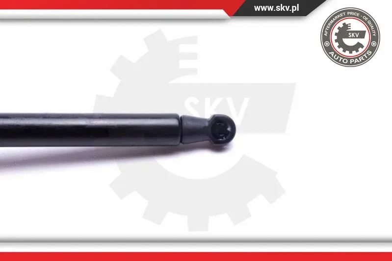 Gas Spring, boot/cargo area