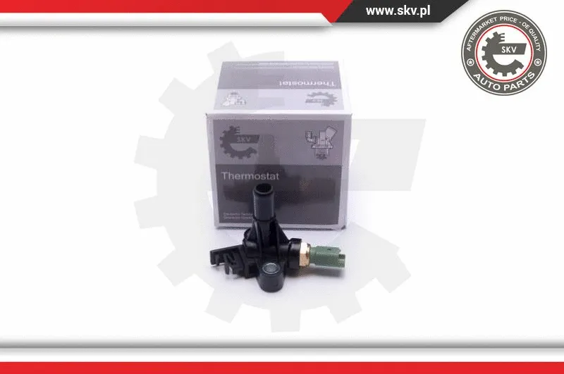 Sensor, coolant temperature (20SKV132)