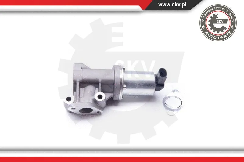 EGR Valve