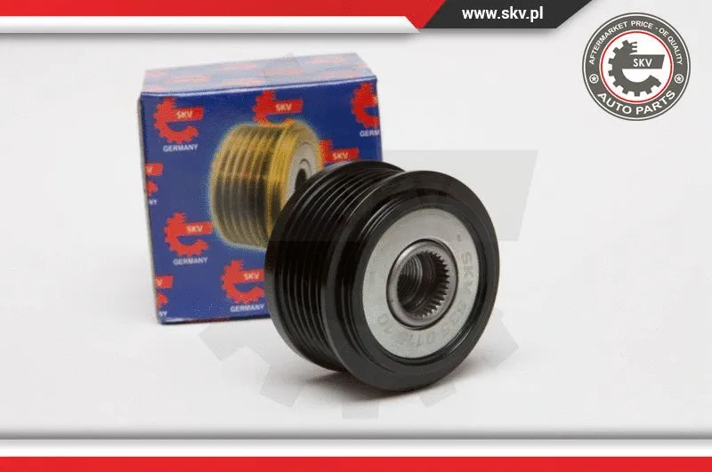 Alternator Freewheel Clutch (11SKV046)