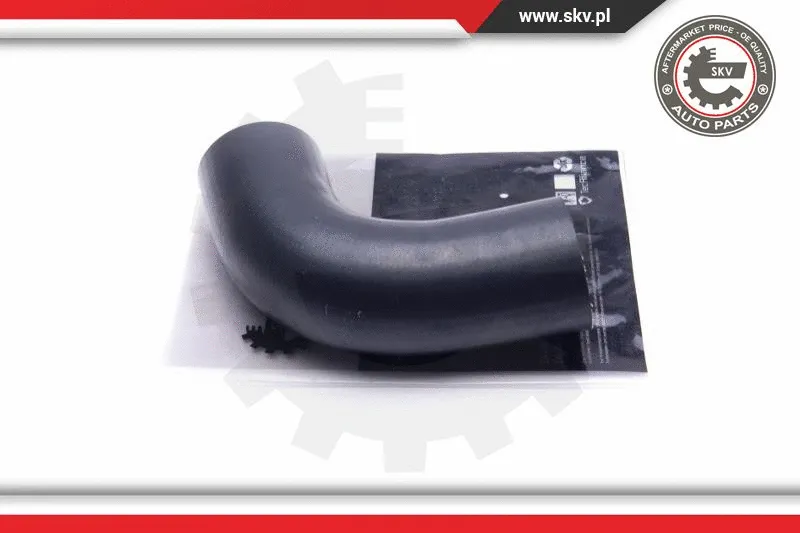 Charge Air Hose (54SKV121)