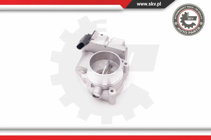 Throttle Body