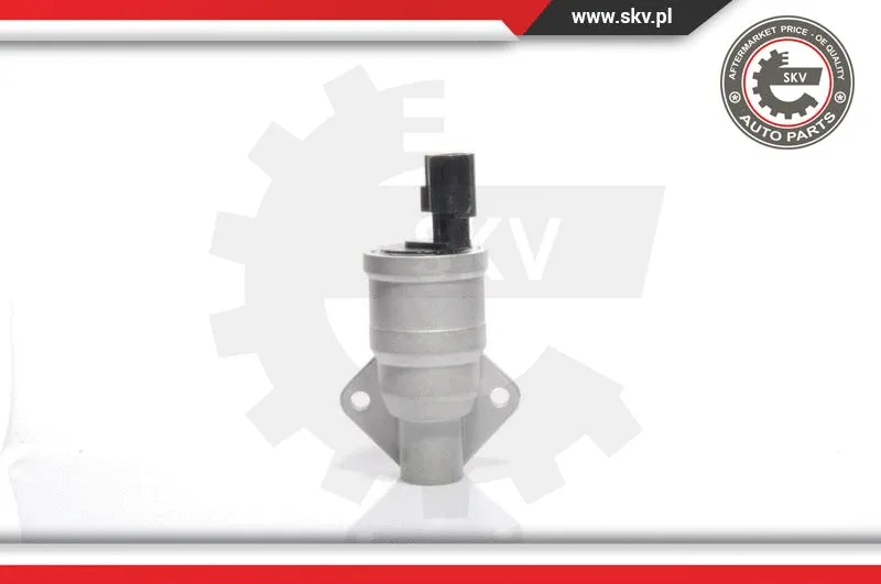Idle Control Valve, air supply (08SKV233)