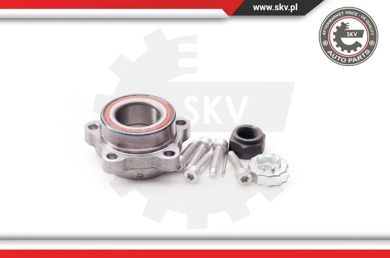 Wheel Bearing Kit