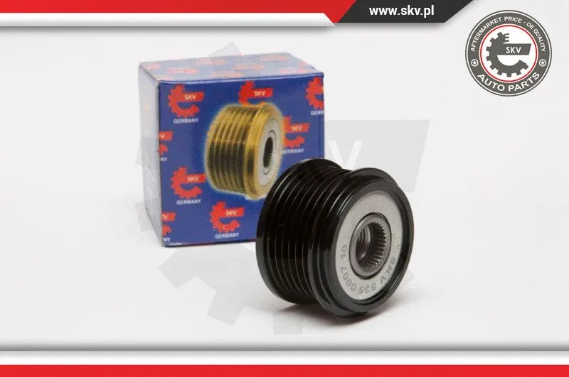 Alternator Freewheel Clutch (11SKV004)