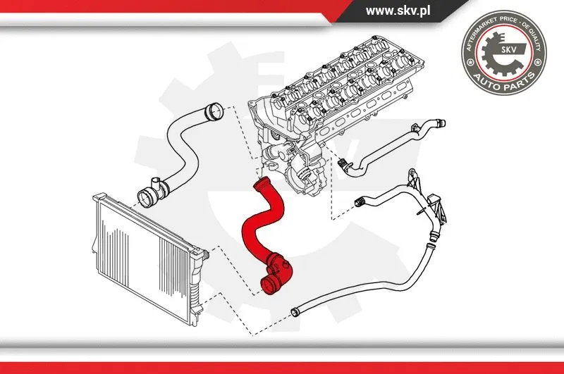 Radiator Hose