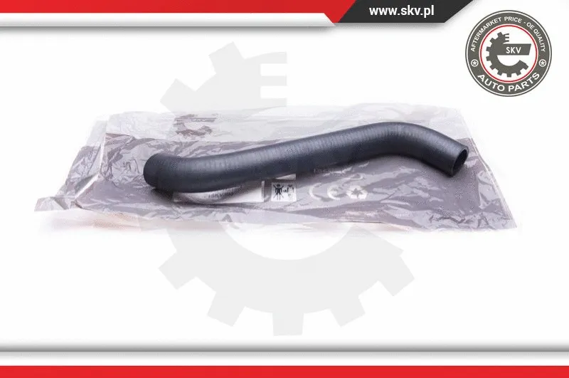 Radiator Hose (24SKV303)