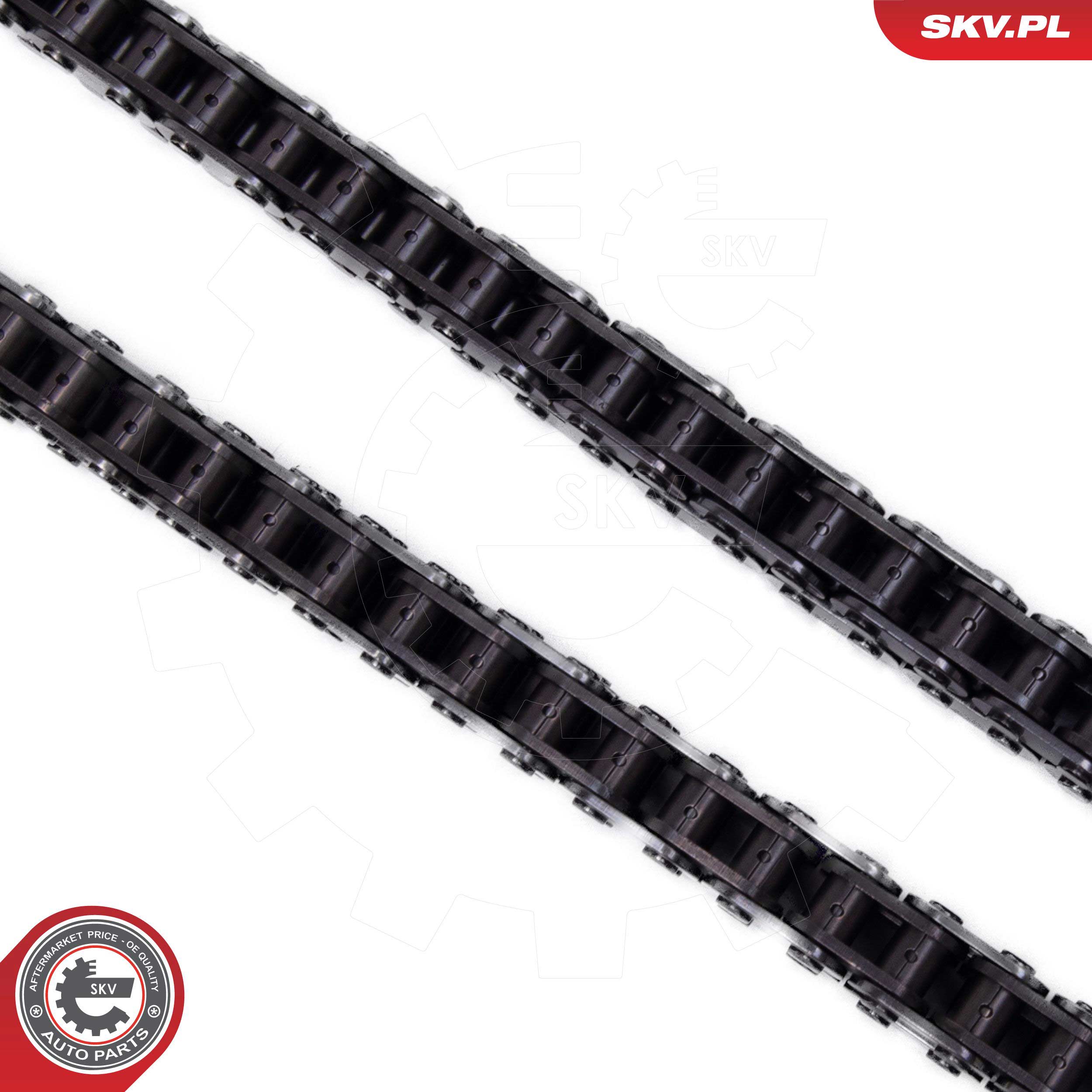 Timing Chain Kit