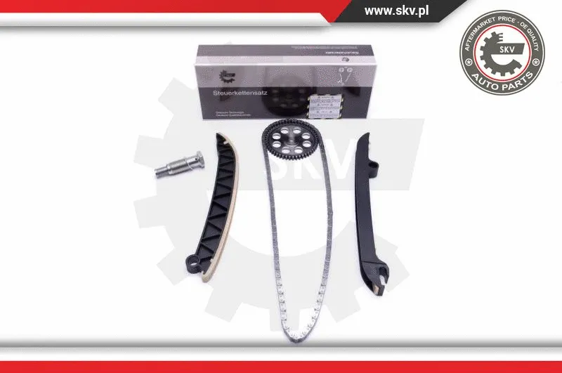 Timing Chain Kit (21SKV155)