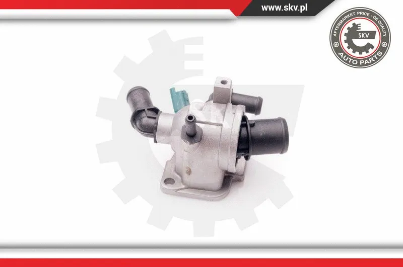 Thermostat, coolant