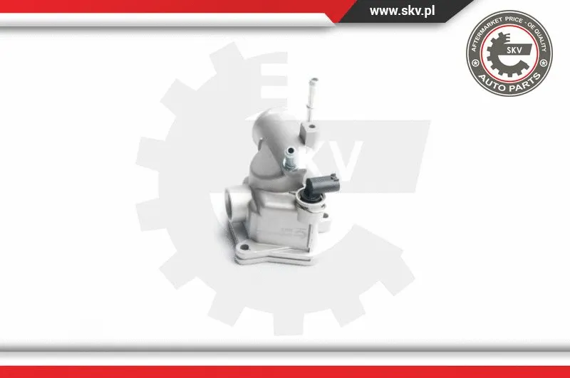 Thermostat, coolant