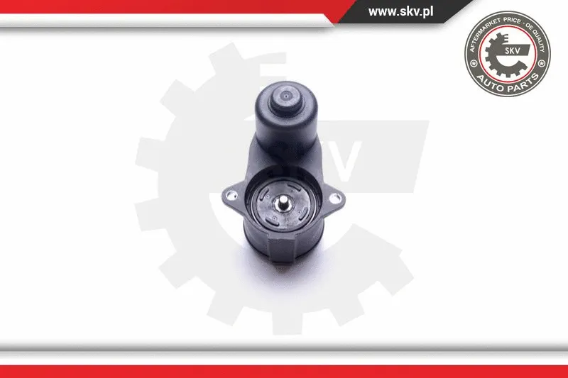Control Element, parking brake caliper